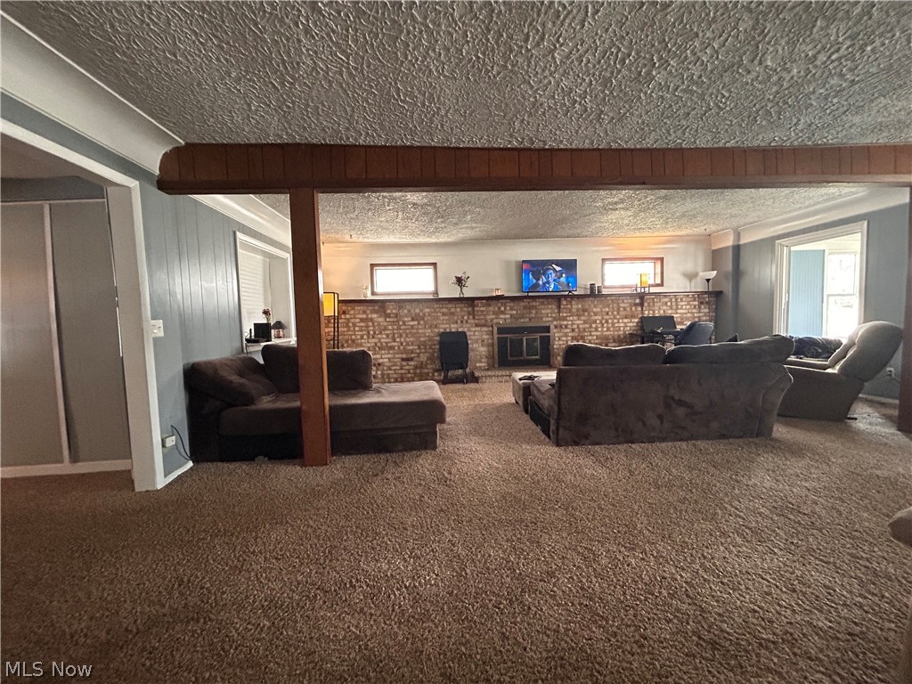 North Hill Allotment - Residential