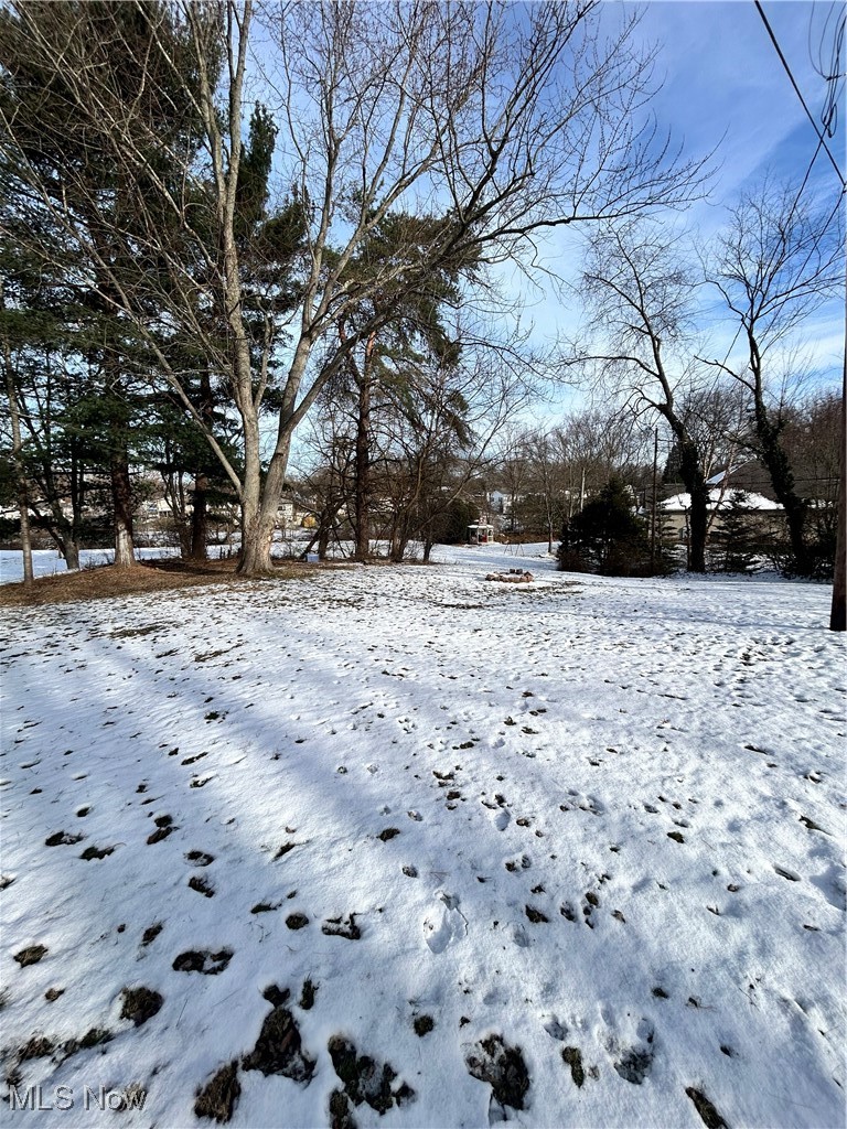 North Hill Allotment - Residential