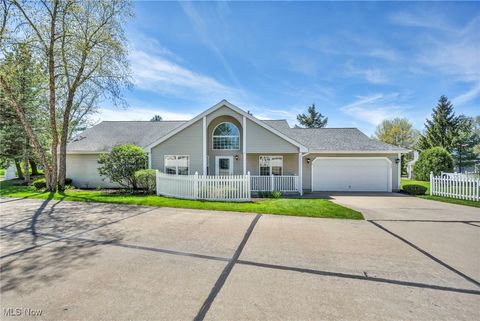 265 Devon Pond Aurora OH 44202