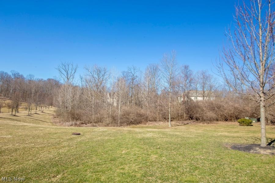 Wyandotte Woods - Residential