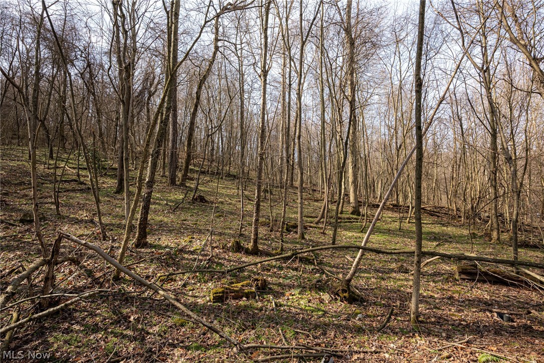 Fourth Quarter - Residential