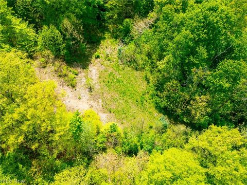 Tiny photo for 6100 Rockville Road, Blue Rock, OH 43720 (MLS # 5209696)