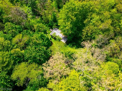 Tiny photo for 6100 Rockville Road, Blue Rock, OH 43720 (MLS # 5209696)