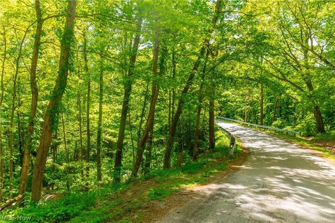 Tiny photo for 6100 Rockville Road, Blue Rock, OH 43720 (MLS # 5209696)
