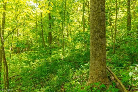Tiny photo for 6100 Rockville Road, Blue Rock, OH 43720 (MLS # 5209696)