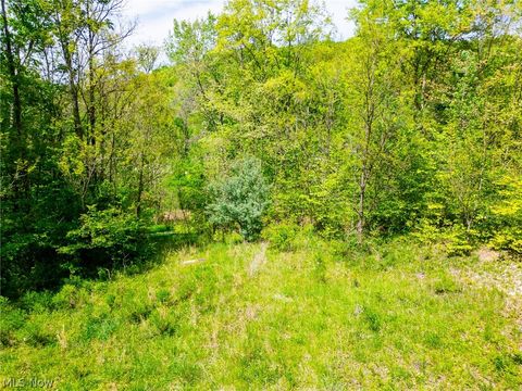 Tiny photo for 6100 Rockville Road, Blue Rock, OH 43720 (MLS # 5209696)