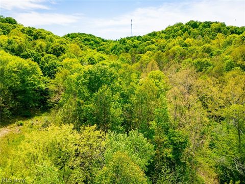 Tiny photo for 6100 Rockville Road, Blue Rock, OH 43720 (MLS # 5209696)