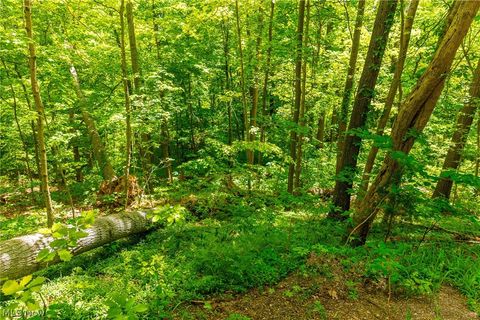 Tiny photo for 6100 Rockville Road, Blue Rock, OH 43720 (MLS # 5209696)