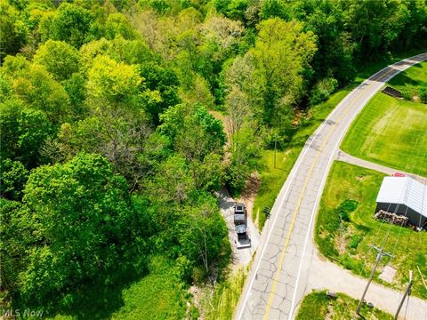 Tiny photo for 6100 Rockville Road, Blue Rock, OH 43720 (MLS # 5209696)