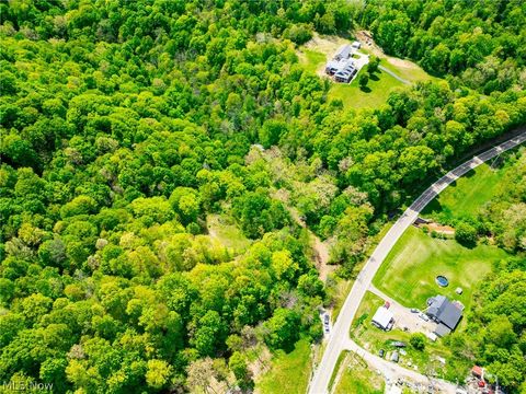Tiny photo for 6100 Rockville Road, Blue Rock, OH 43720 (MLS # 5209696)