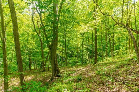 Tiny photo for 6100 Rockville Road, Blue Rock, OH 43720 (MLS # 5209696)