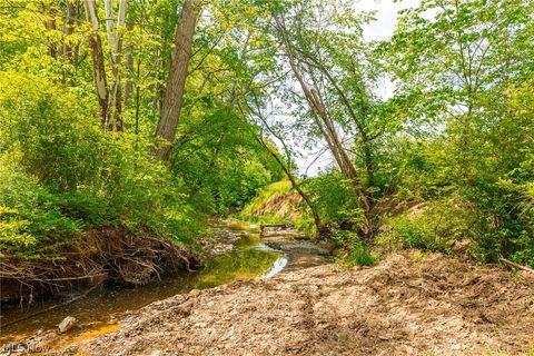 Tiny photo for 6100 Rockville Road, Blue Rock, OH 43720 (MLS # 5209696)