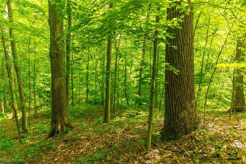 Tiny photo for 6100 Rockville Road, Blue Rock, OH 43720 (MLS # 5209696)