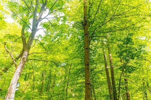 Tiny photo for 6100 Rockville Road, Blue Rock, OH 43720 (MLS # 5209696)