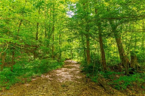 Tiny photo for 6100 Rockville Road, Blue Rock, OH 43720 (MLS # 5209696)