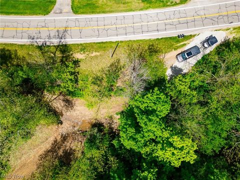 Tiny photo for 6100 Rockville Road, Blue Rock, OH 43720 (MLS # 5209696)