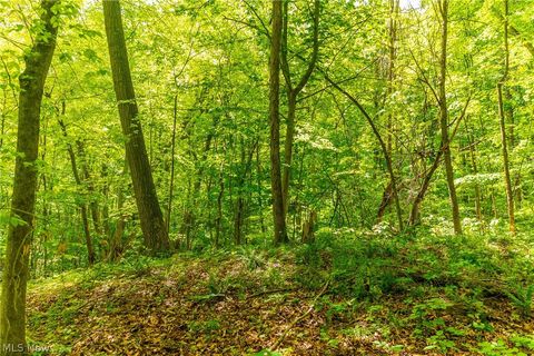Tiny photo for 6100 Rockville Road, Blue Rock, OH 43720 (MLS # 5209696)