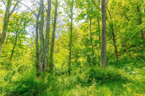 Tiny photo for 6100 Rockville Road, Blue Rock, OH 43720 (MLS # 5209696)