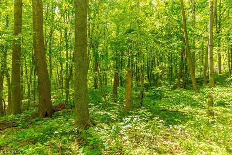 Tiny photo for 6100 Rockville Road, Blue Rock, OH 43720 (MLS # 5209696)