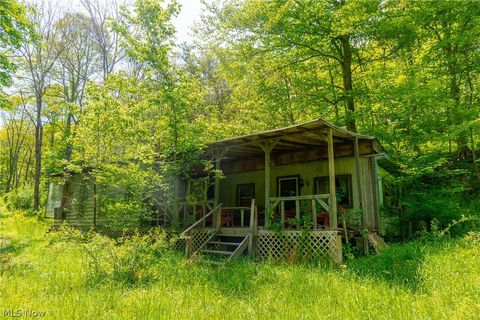 Photo of 6100 Rockville Road, Blue Rock, OH 43720 (MLS # 5209696)