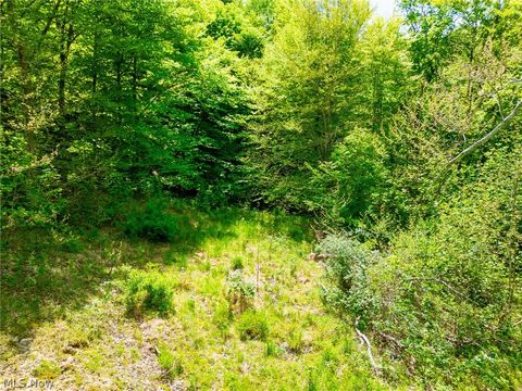 Tiny photo for 6100 Rockville Road, Blue Rock, OH 43720 (MLS # 5209696)
