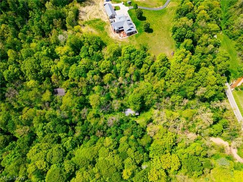 Tiny photo for 6100 Rockville Road, Blue Rock, OH 43720 (MLS # 5209696)