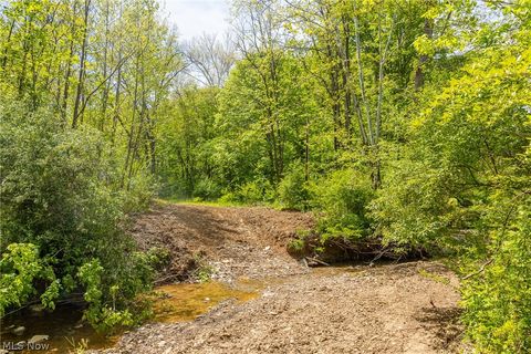 Tiny photo for 6100 Rockville Road, Blue Rock, OH 43720 (MLS # 5209696)