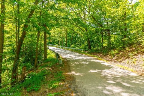 Tiny photo for 6100 Rockville Road, Blue Rock, OH 43720 (MLS # 5209696)