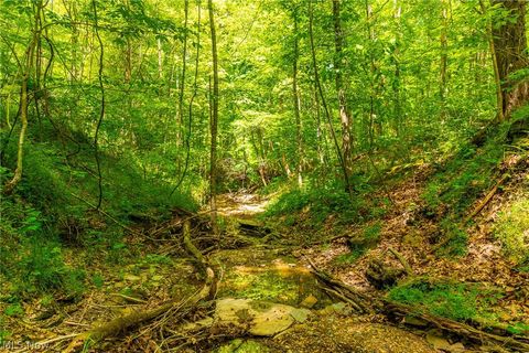 Tiny photo for 6100 Rockville Road, Blue Rock, OH 43720 (MLS # 5209696)