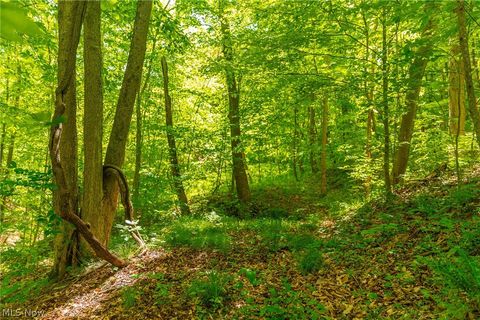 Tiny photo for 6100 Rockville Road, Blue Rock, OH 43720 (MLS # 5209696)