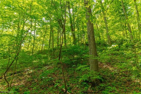 Tiny photo for 6100 Rockville Road, Blue Rock, OH 43720 (MLS # 5209696)
