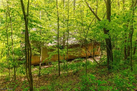 Tiny photo for 6100 Rockville Road, Blue Rock, OH 43720 (MLS # 5209696)