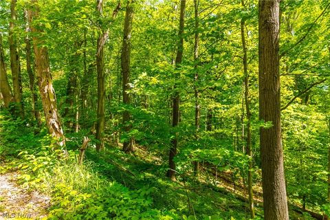 Tiny photo for 6100 Rockville Road, Blue Rock, OH 43720 (MLS # 5209696)