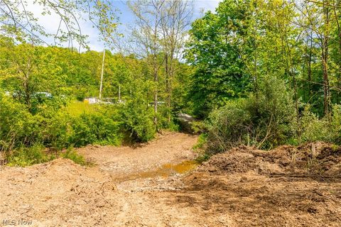 Tiny photo for 6100 Rockville Road, Blue Rock, OH 43720 (MLS # 5209696)