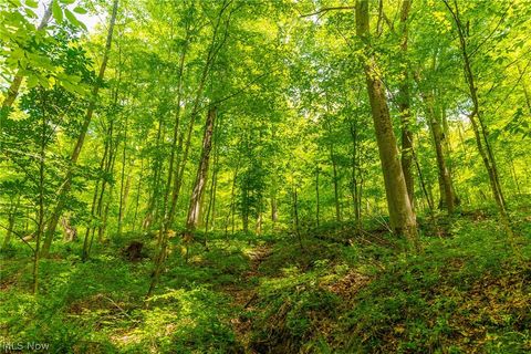 Tiny photo for 6100 Rockville Road, Blue Rock, OH 43720 (MLS # 5209696)