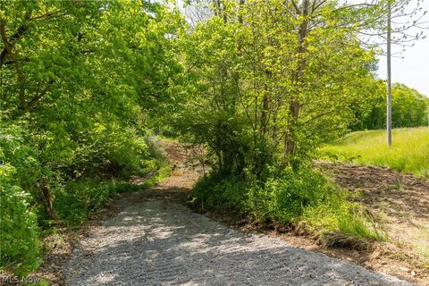 Tiny photo for 6100 Rockville Road, Blue Rock, OH 43720 (MLS # 5209696)