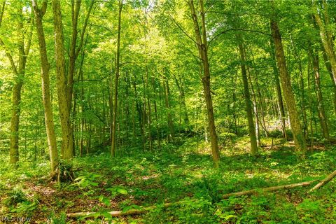 Tiny photo for 6100 Rockville Road, Blue Rock, OH 43720 (MLS # 5209696)