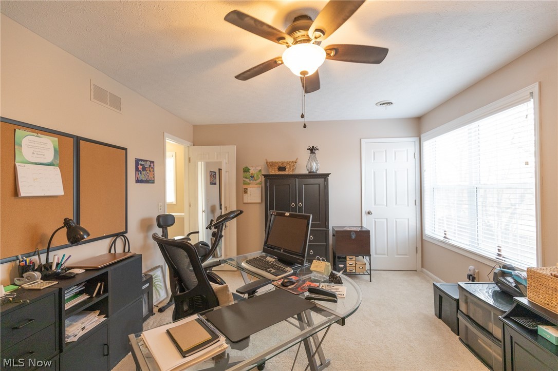 Trenton Village - Residential