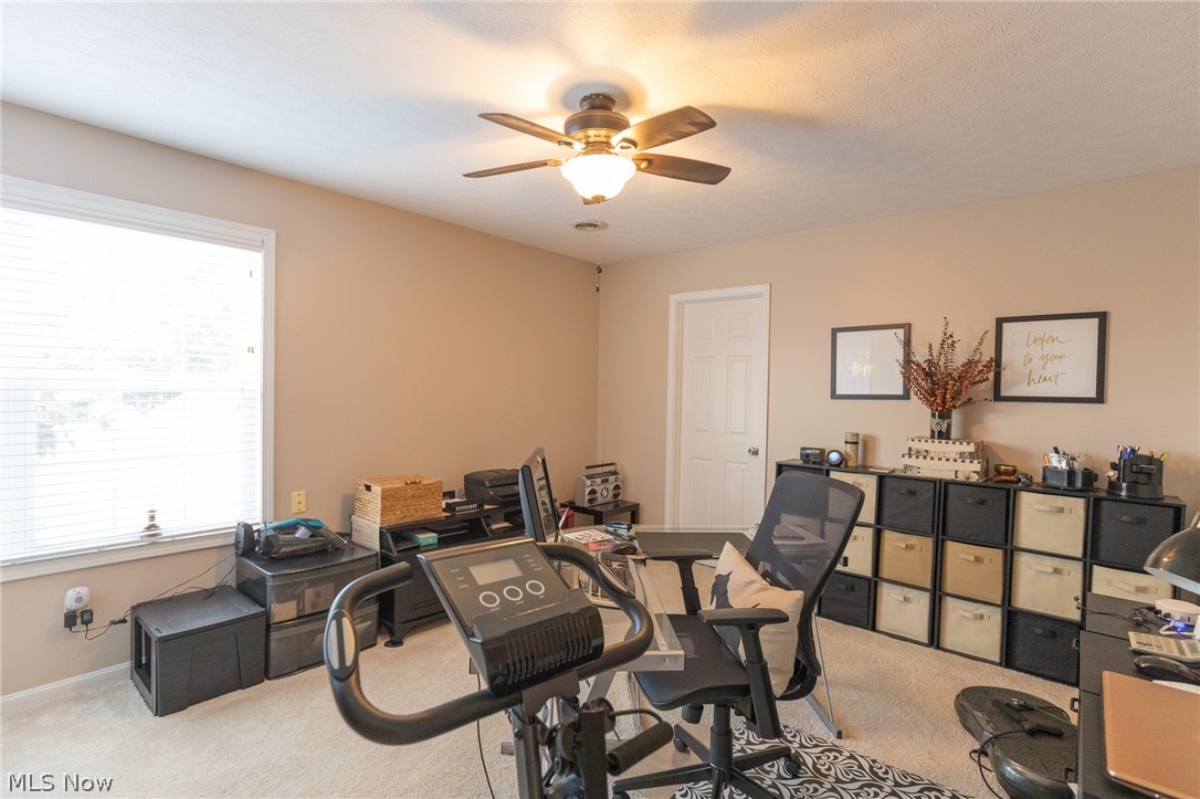 Trenton Village - Residential