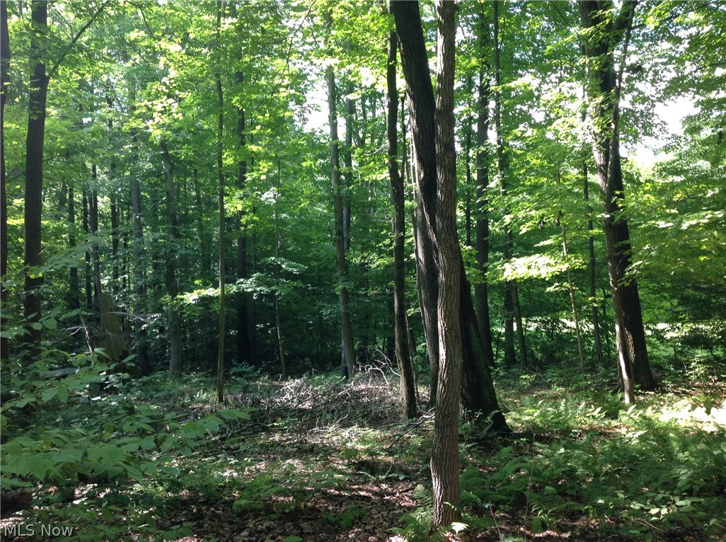 LAKE BUCKHORN - Residential