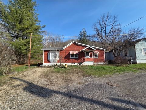 Homes For Sale - 54990 Maple Avenue<br/> Bridgeport, OH 43912