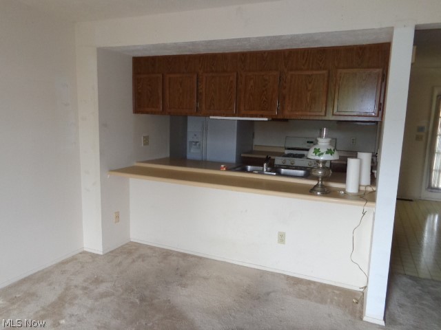 Puritas Park Twnhse Resid Dev - Residential