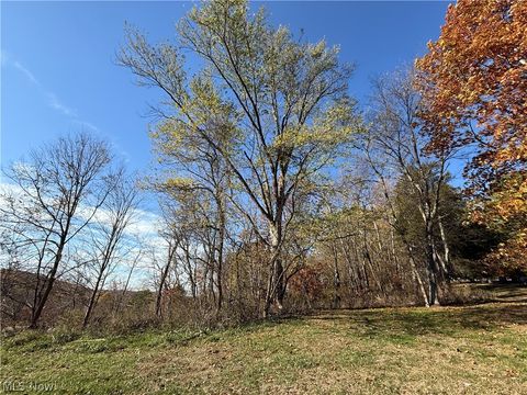 Tiny photo for 0 State Route 646, Richmond, OH 43944 (MLS # 5202931)