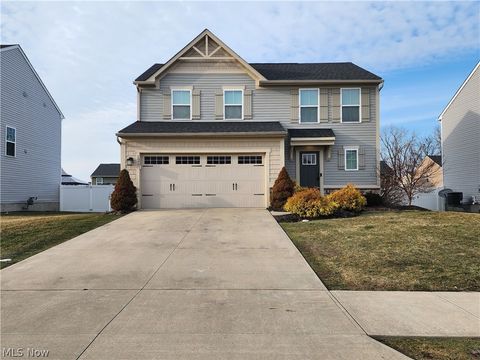 1977 S Ashwood Lane Painesville Twp OH 44077