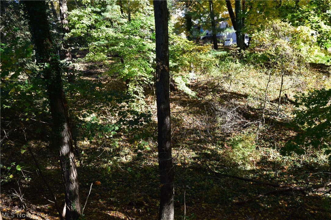 Oakwood Place - Residential