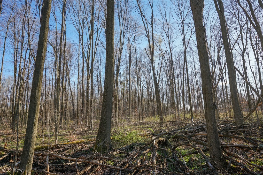 6831 Howard Rd Rd, Williamsfield, Ohio image 35