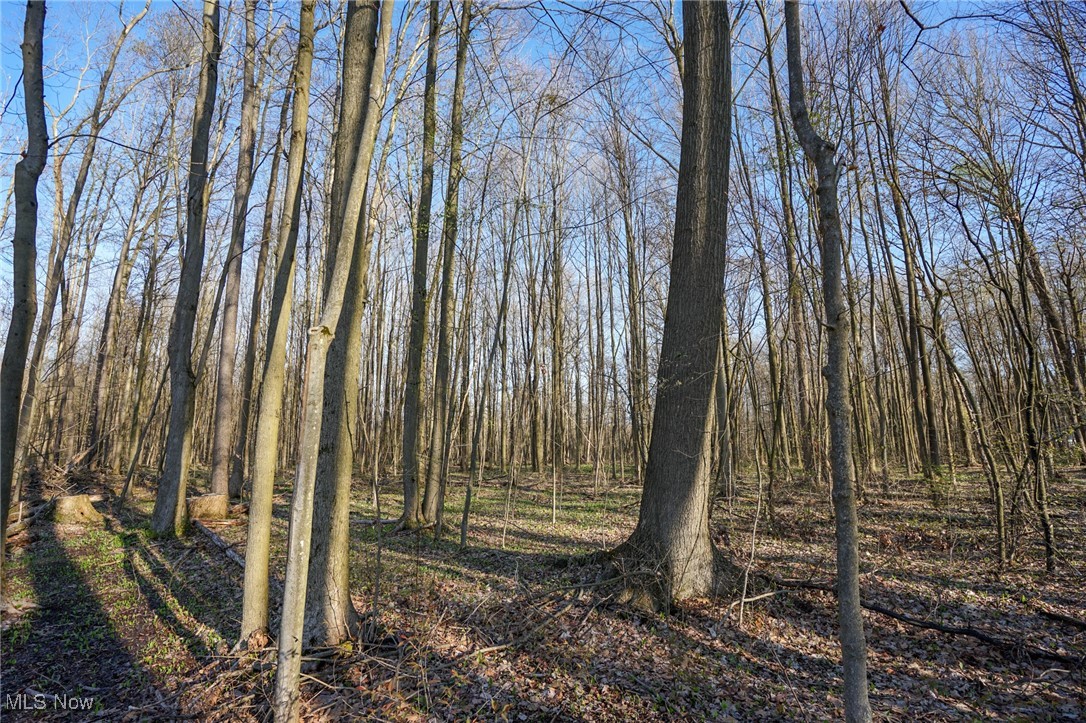 6831 Howard Rd Rd, Williamsfield, Ohio image 30