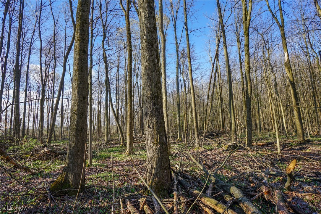 6831 Howard Rd Rd, Williamsfield, Ohio image 34