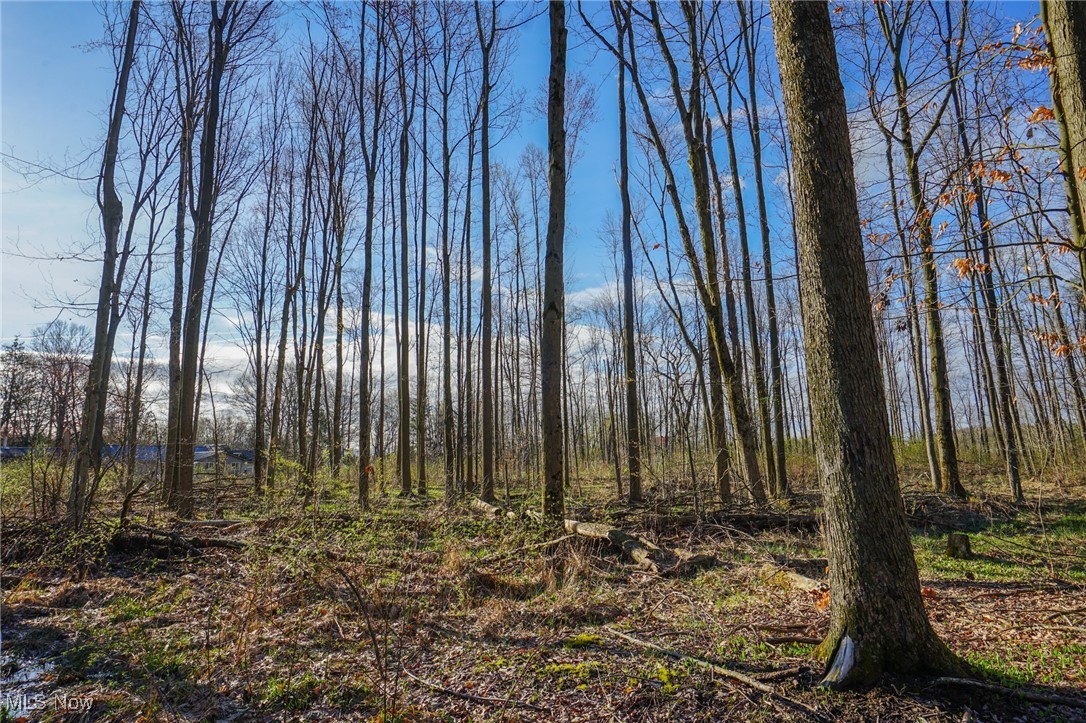 6831 Howard Rd Rd, Williamsfield, Ohio image 31