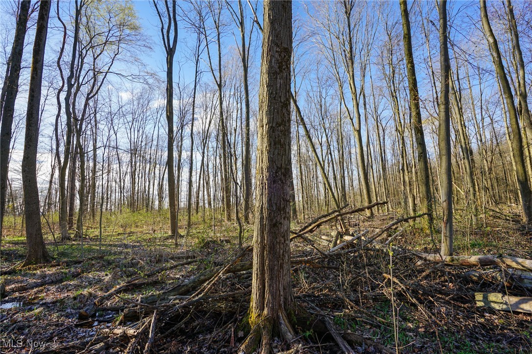 6831 Howard Rd Rd, Williamsfield, Ohio image 32